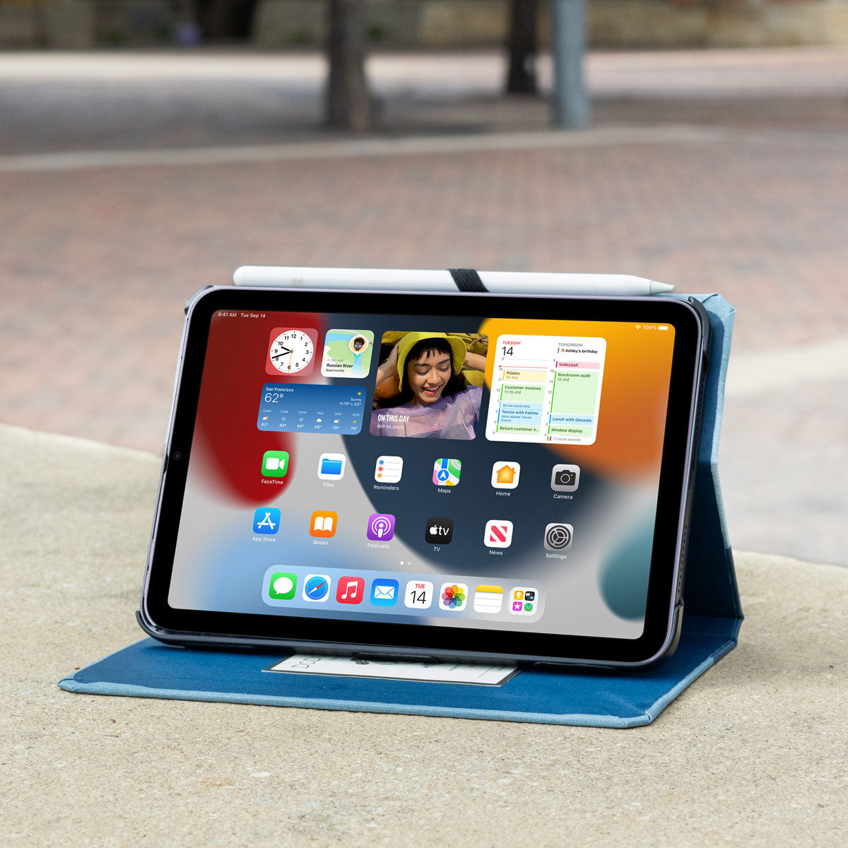 Blue iPad Mini Case Horizontal