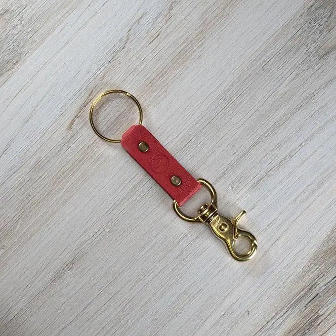 Colorful Leather & Brass Keyring DODOcase
