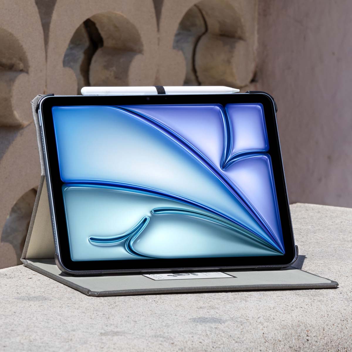 iPad Cases in Designer Solids | Premium Quality | DODOcase