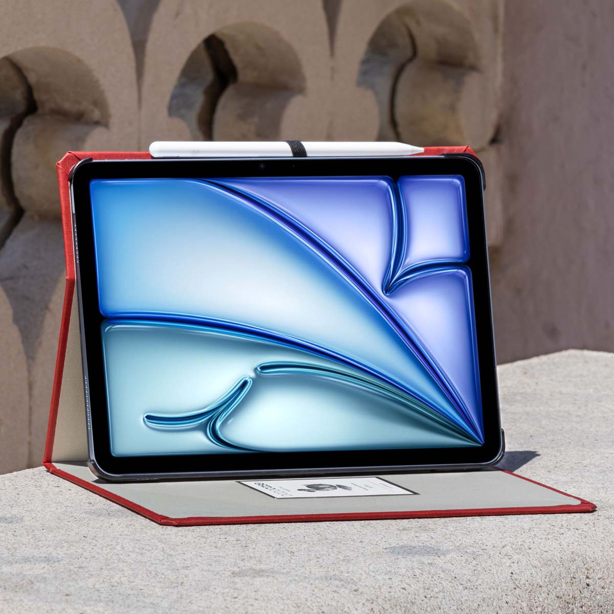 iPad Cases in Designer Solids | Premium Quality | DODOcase