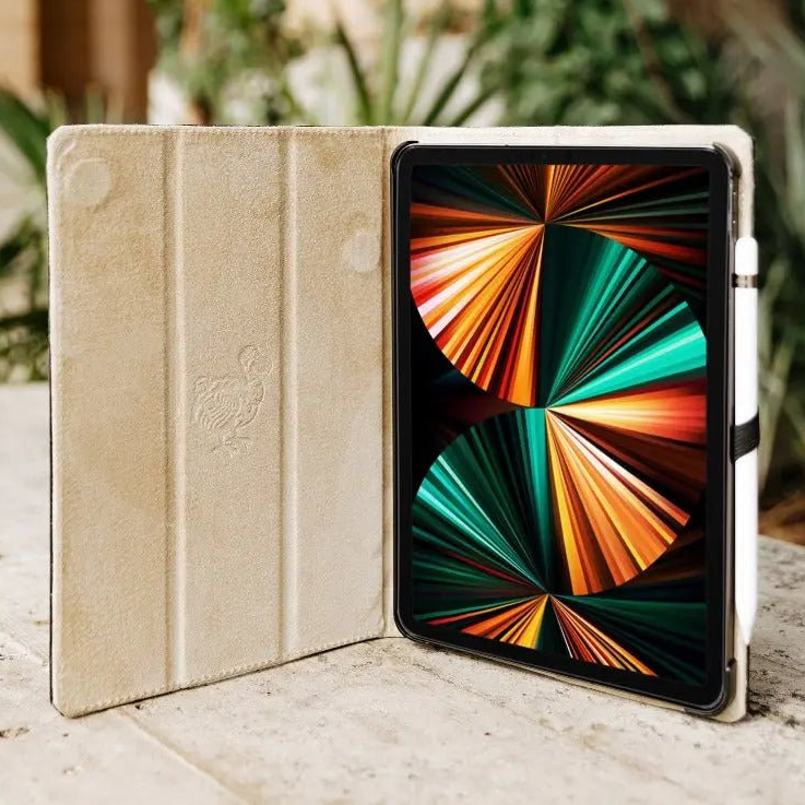 Leather iPad Cases